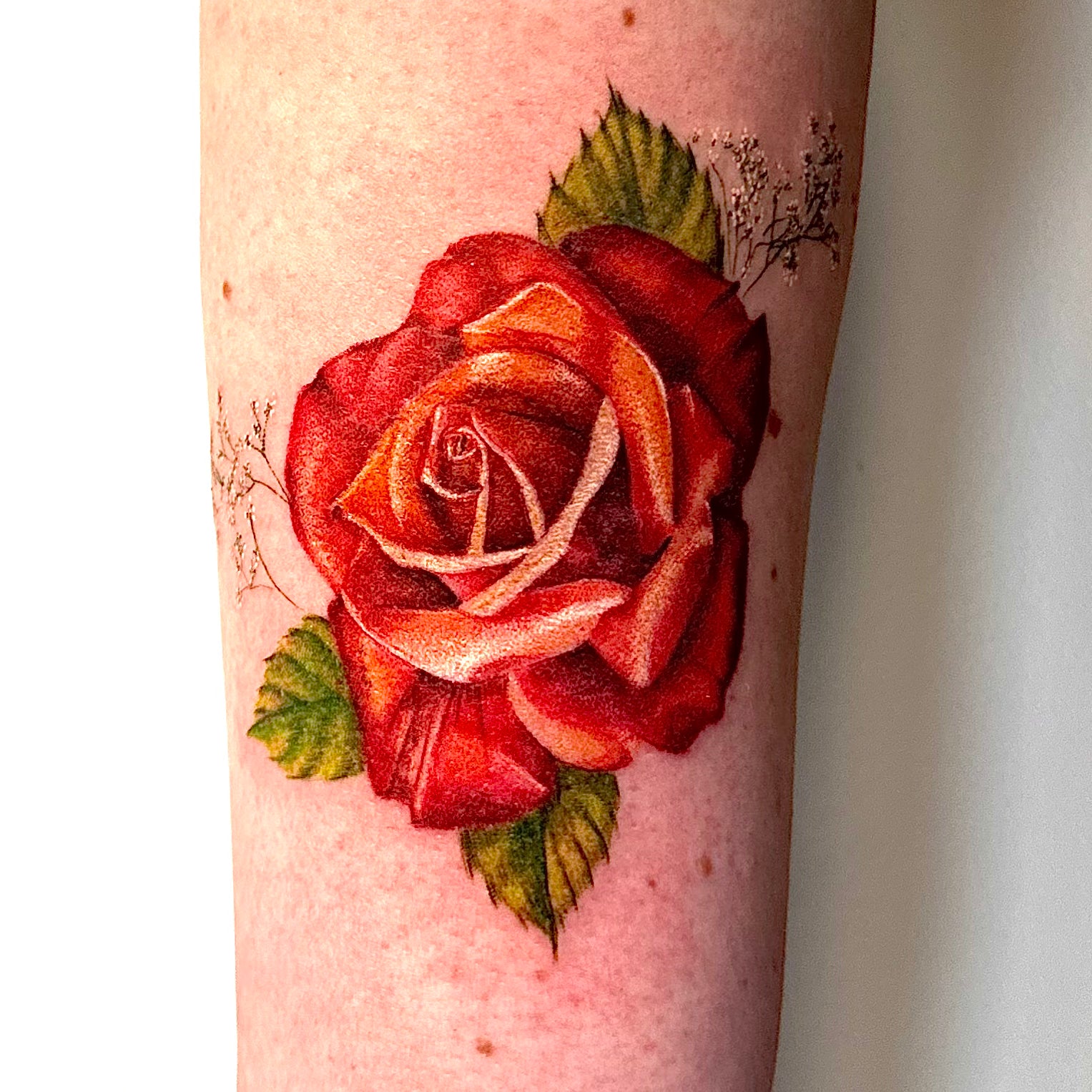 Beth Hogg